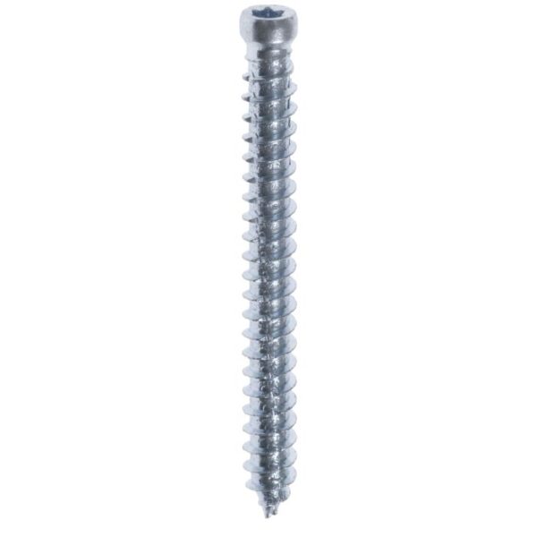 productafbeelding_6028_158_253.jpg Steelies Ultimate beton-kozijnschroef 7,5x132 cilinderkop T-30 vz