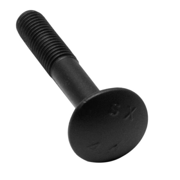 QlinQ Blackline slotbout DIN603 M8x 60 zwart