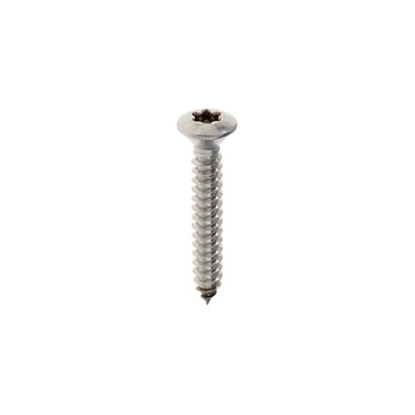 Plaatschroef DIN7983C-T 5,5x 22 T-25 rvs A2