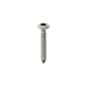 Plaatschroef DIN7983C-T 4,2x 22 T-20 rvs A2
