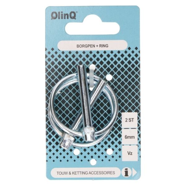 QlinQ borgpen met ring 6mm verzinkt; 2 per verp