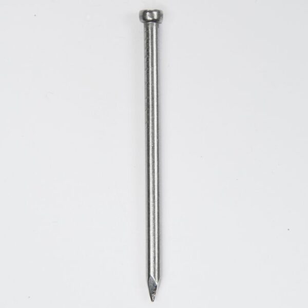 productafbeelding_6934_40_73.jpg HJZprofi nagel 2.4x45 verloren kop rvs A2; 125 per verp