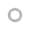 Steelies Ultimate tandveerring DIN6798A M12 rvs A4